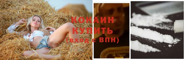 винт Осинники