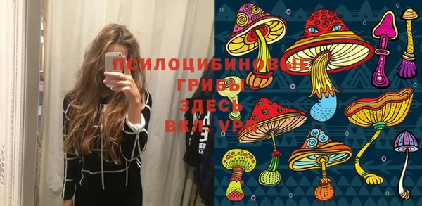 винт Осинники