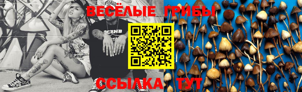Псилоцибиновые грибы MAGIC MUSHROOMS  Вход с VPN  Орск  Галлюциногенные грибы Psilocybine cubensis 